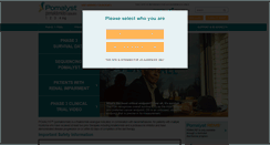 Desktop Screenshot of pomalyst.com