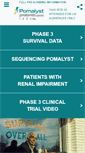 Mobile Screenshot of pomalyst.com